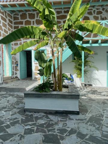 Hacienda De Las Indias, Cali Granadilla De Abona Luaran gambar